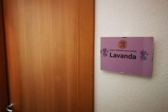 Lavanda